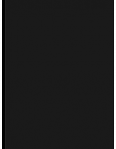 Puerta Pet negro seda