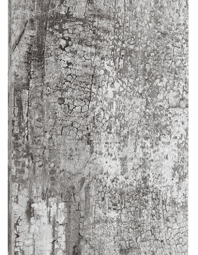 Puerta ecológica Tigerwood Black